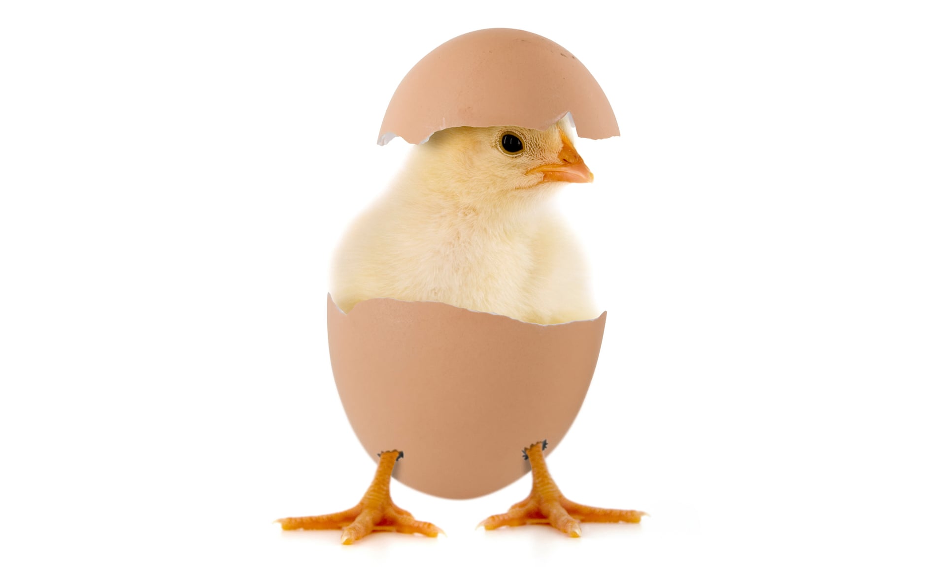 3780