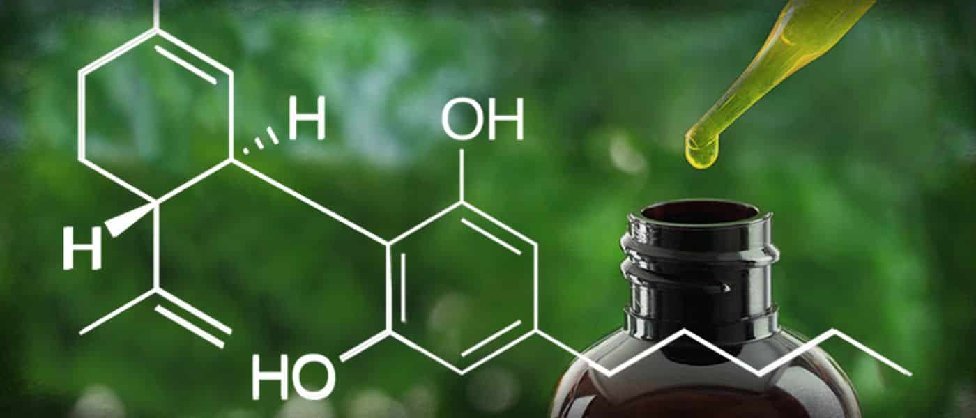 cbd-facts-healthy-header-image