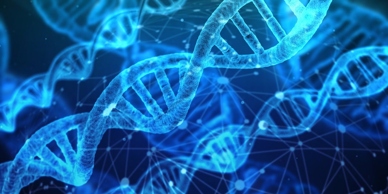 dna-testing-home-header-image
