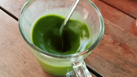 moringa is the ultimate immune booster