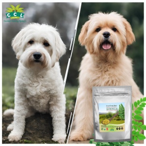 moringa powder for pets