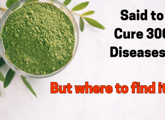 where to find bulk organic moringa powder online for USA
