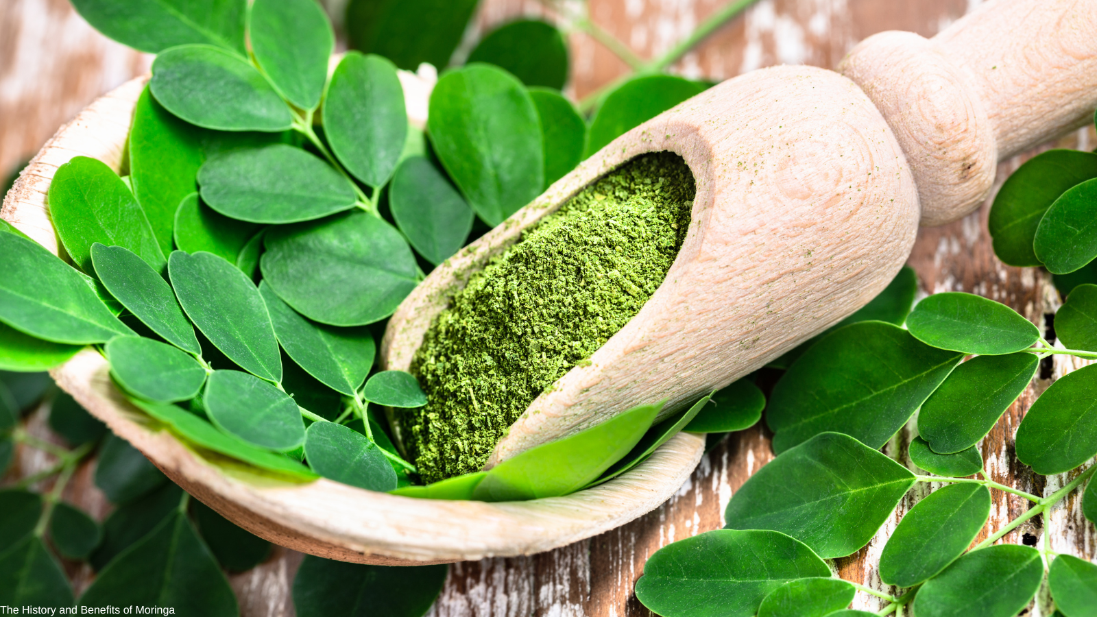 The History and Benefits of Moringa